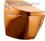 Chiêm ngưỡng chiếc toilet bằng vàng 24k
